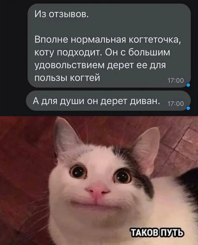 Так себе картинки (29.11.23)