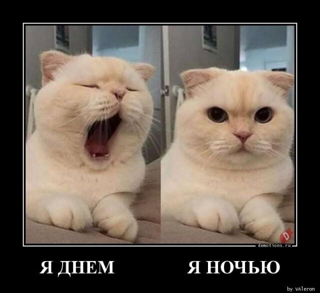 
			Демотиваторы №3255 (17 фото)