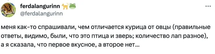 Умные загадки: Какие сложные вопросы могут встретить детей перед началом учебы