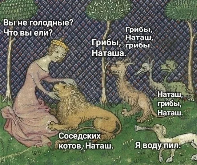 Так себе картинки (29.11.23)