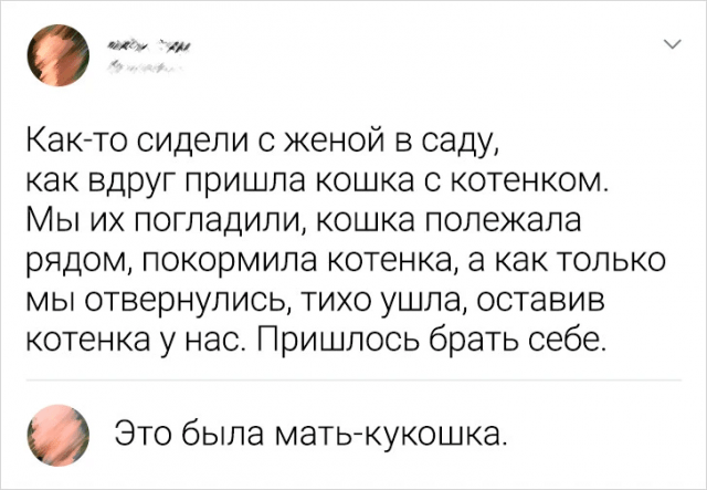 Подборка забавных комментариев
