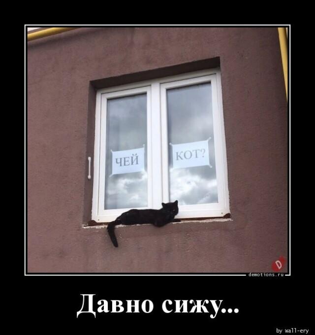 
			Демотиваторы №3255 (17 фото)