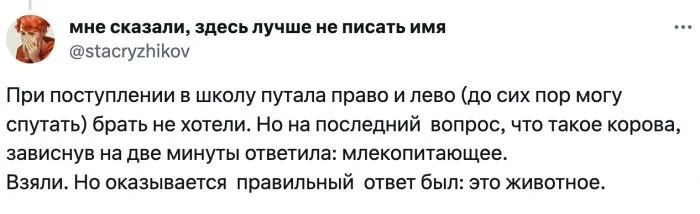 Умные загадки: Какие сложные вопросы могут встретить детей перед началом учебы