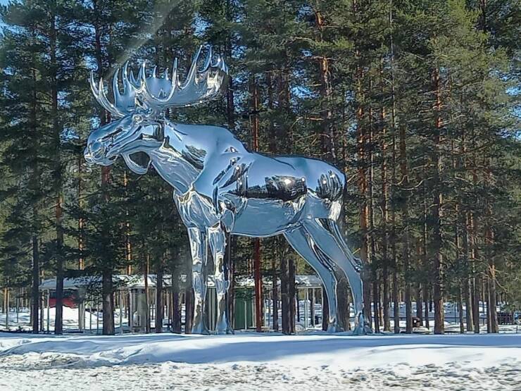 Подборка картинок. Вечерний выпуск - 17.03.2023 (30 фото)