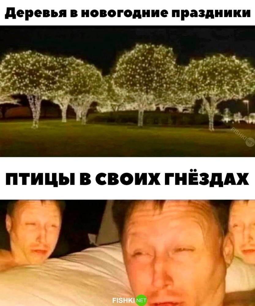 
        Птицы на украшенных деревьях     