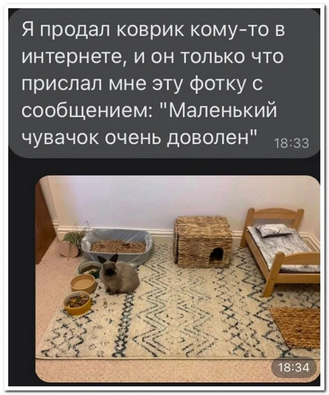 Забавные комментарии, найденные в социальных сетях