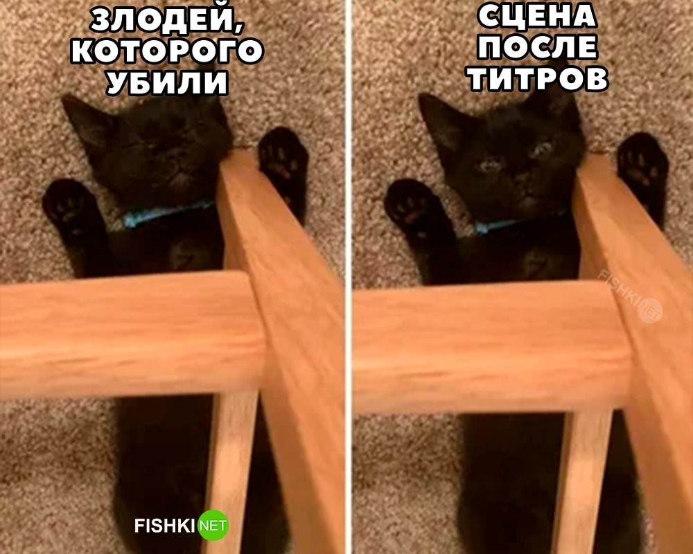 
        Типичный злодей    