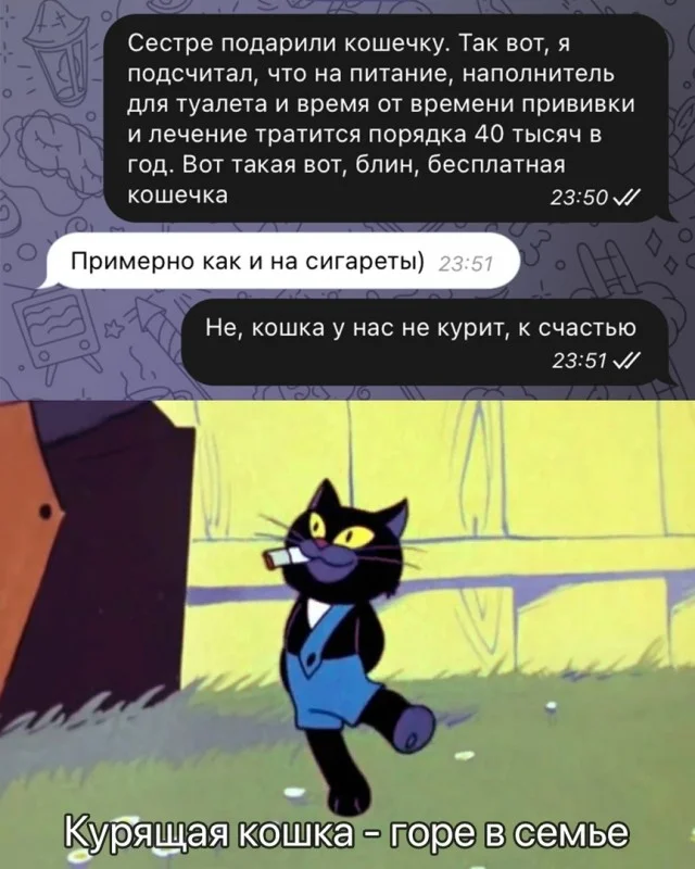 Так себе картинки (29.11.23)