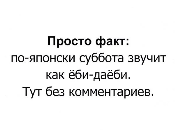 Так себе картинки (29.11.23)