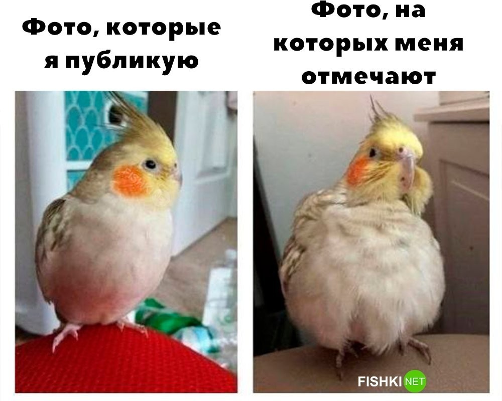 
        И так каждый раз    