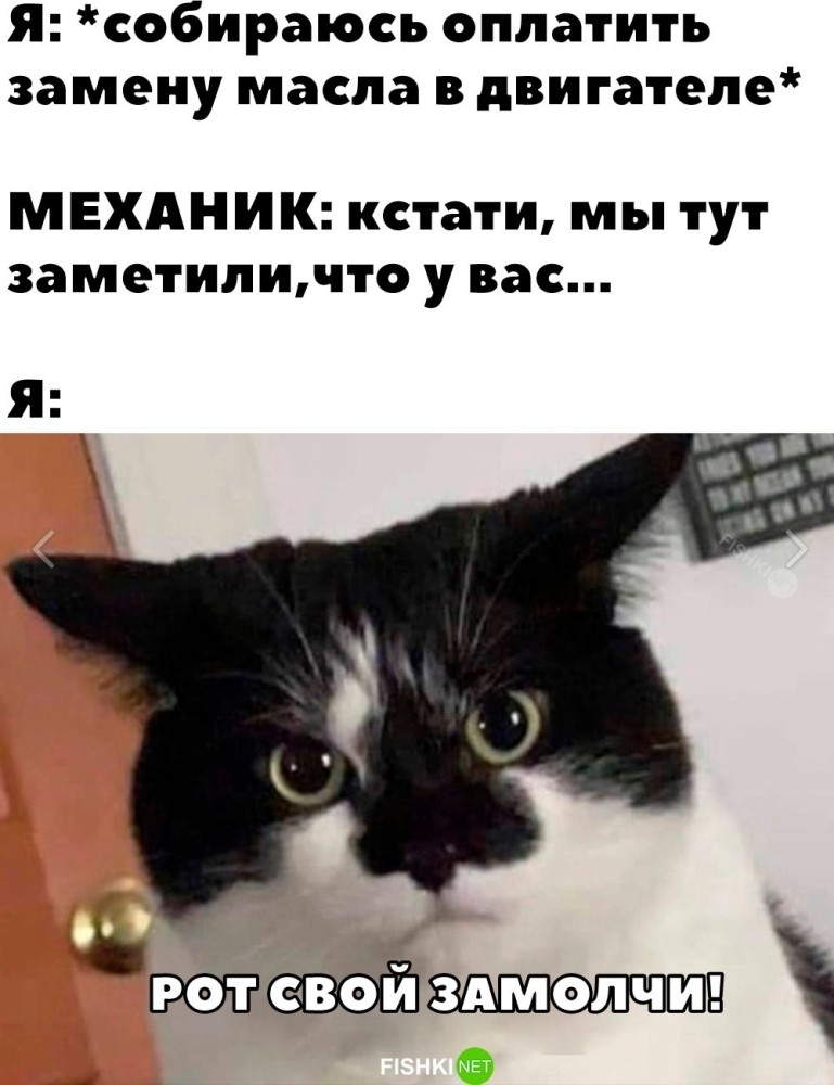 
        Сюрприз от механика    