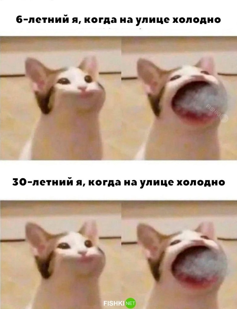 
        Ничего не меняется    
