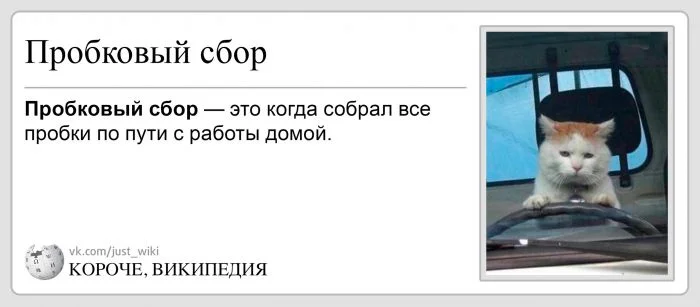 "Иная энциклопедия": выдающаяся альтернатива советам Остера на страницах википедии