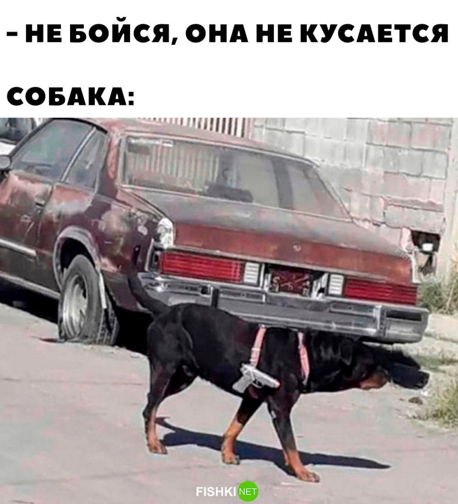 
        Она стреляет     