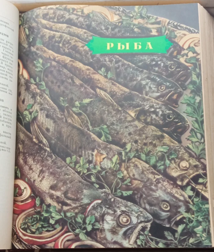 Гастрономический архив: взгляд в книгу Кулинария 1955 года