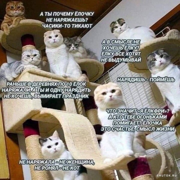 Мем №1431839