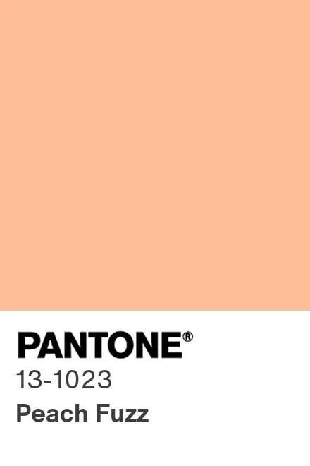 Институт цвета Pantone объявил главный цвет 2024 года — "персиковый пух"