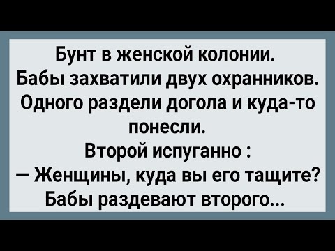 Без жены лучше