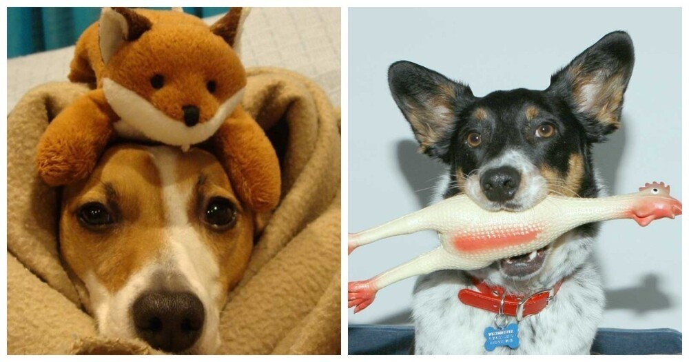 женские причуды юмор. статус любимому мужчине. идеальные отношения. девушка думает о мужчине. прощай анимация.