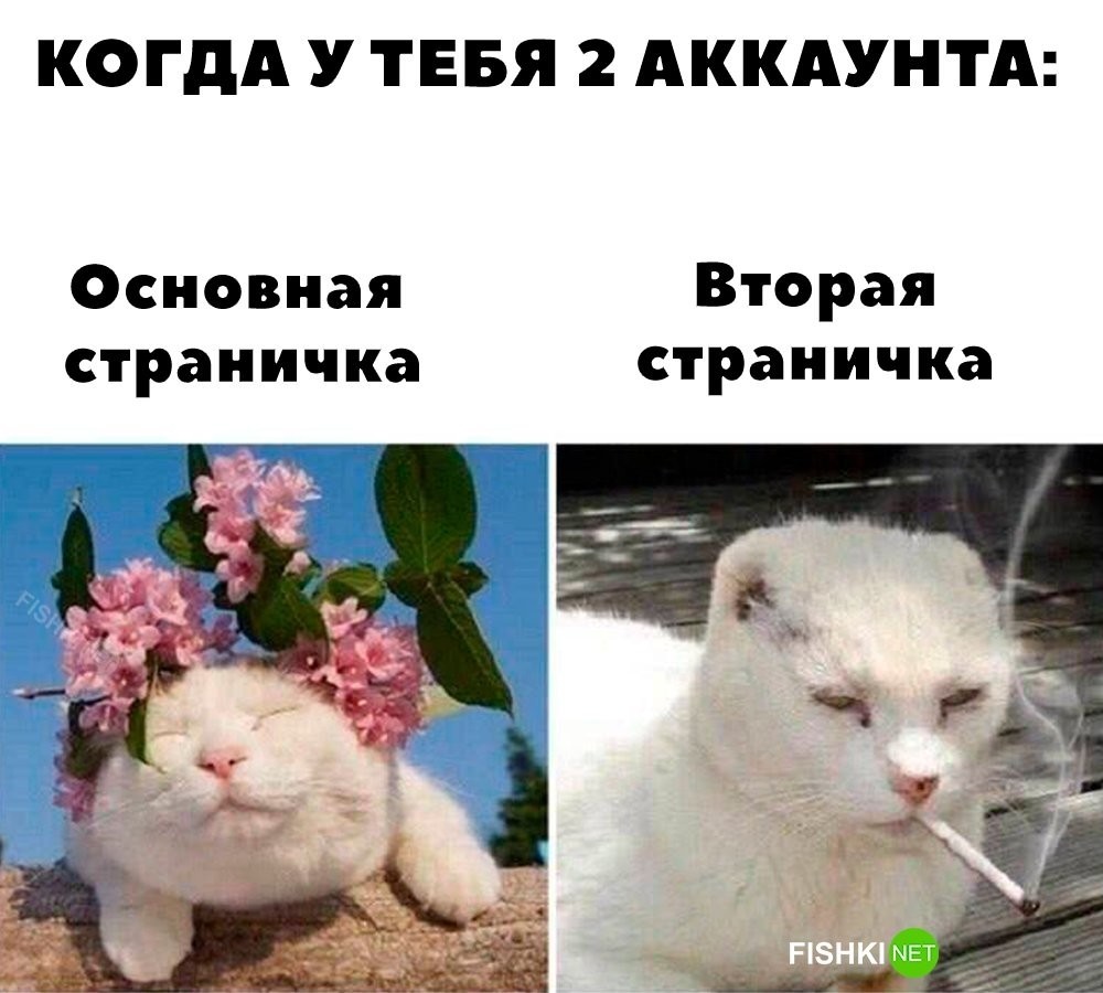 
        Два аккаунта    