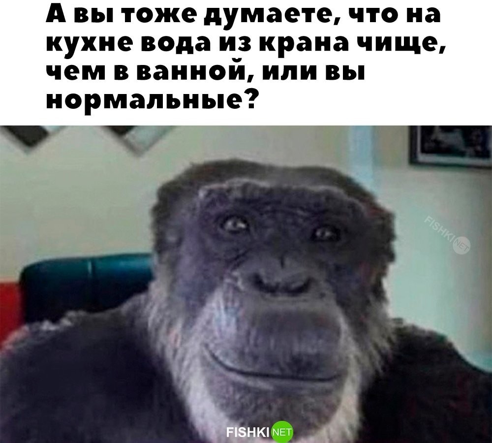 
        Я нормальный    