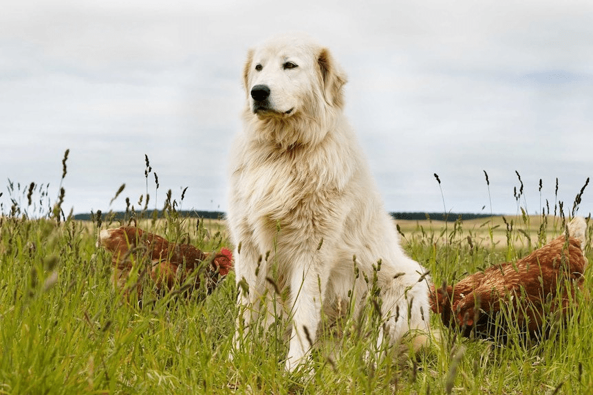 Хорошее предложение синоним