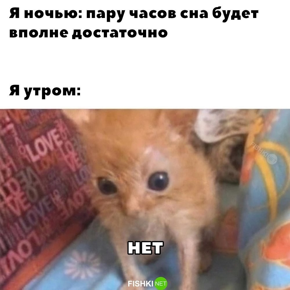 
        И так каждый день    