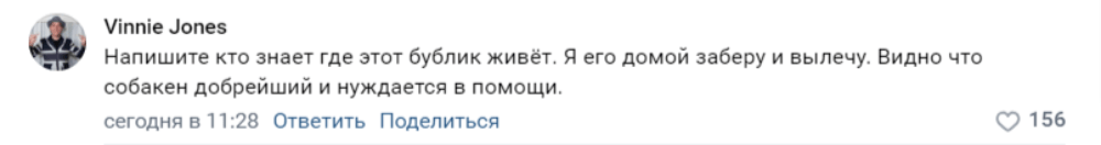 
        Очень толстая собачка из Югры стала звездой социальных сетей - за неё уже борются желающие помочь    