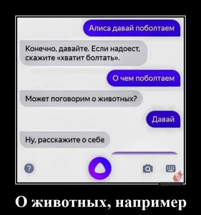 
			Демотиваторы №3320 (16 фото)