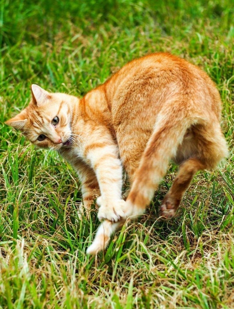 
        Забава, которая всегда с тобой    