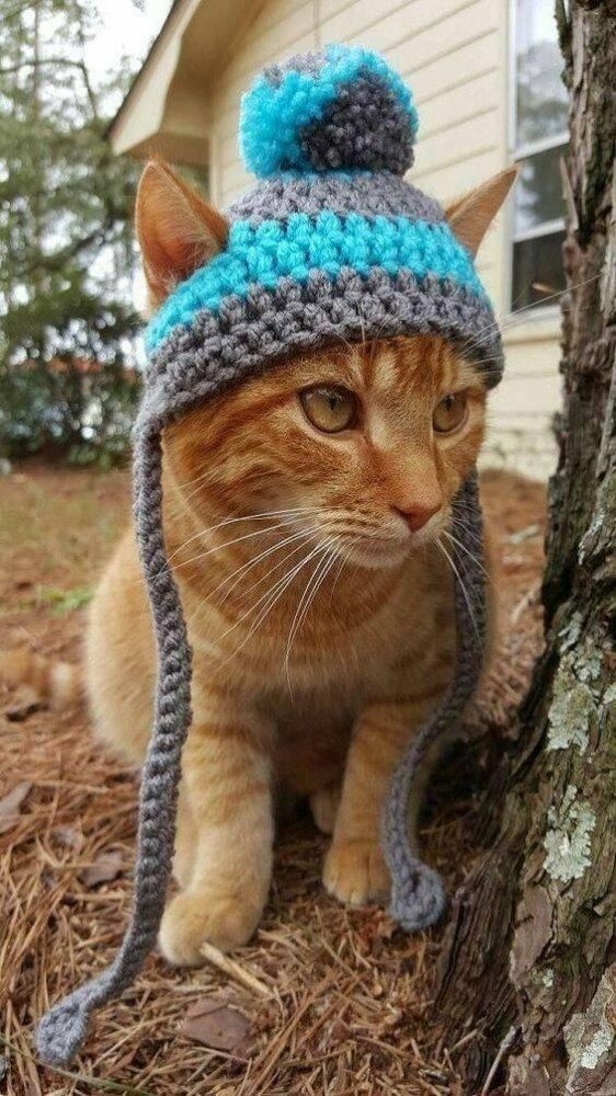 Подборка прикольных фото №3369