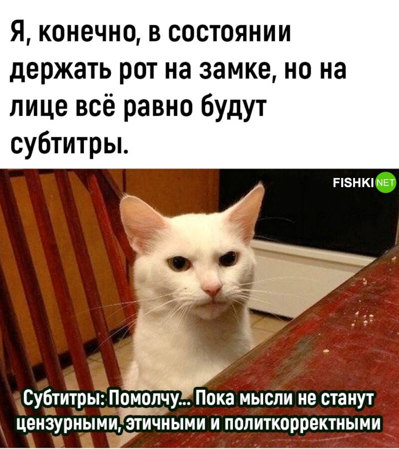 
        Мемы из соцсетей. Свежак за 20 февраля    