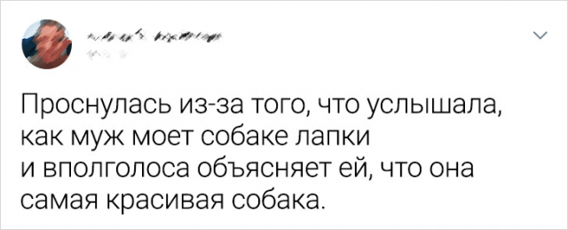 Подборка забавных и милых твитов про любовь