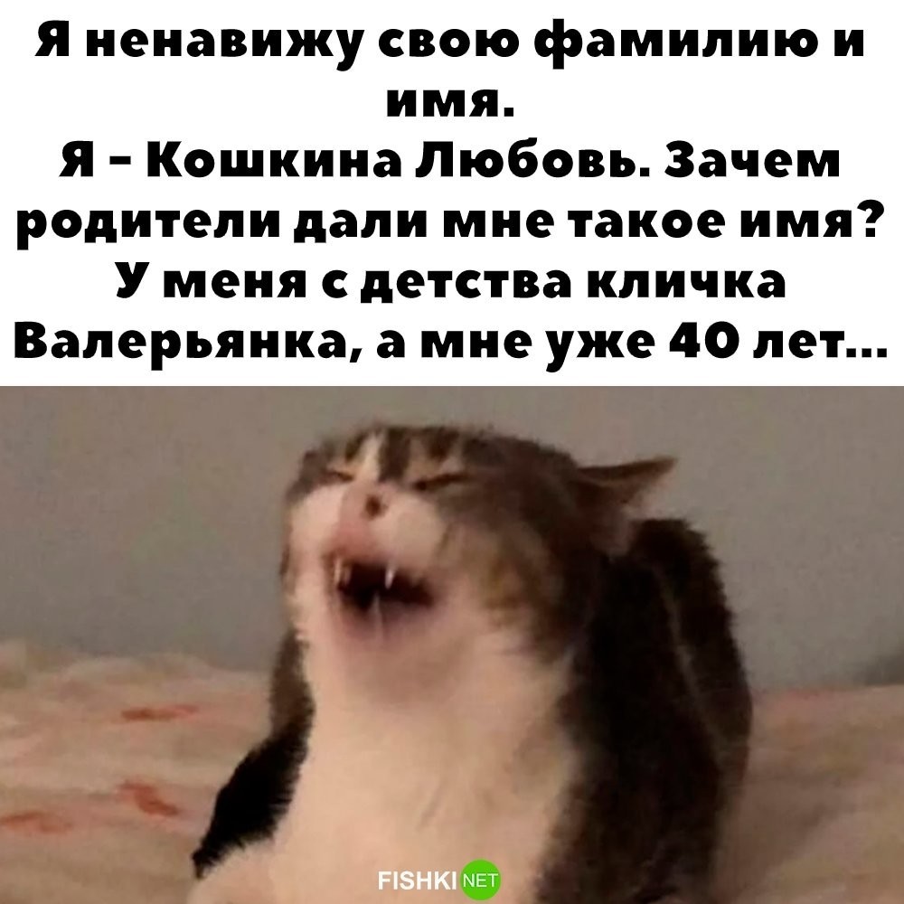 
        Кличка Валерьянка    