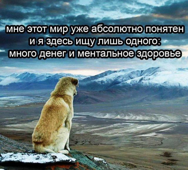 Смешные мемы