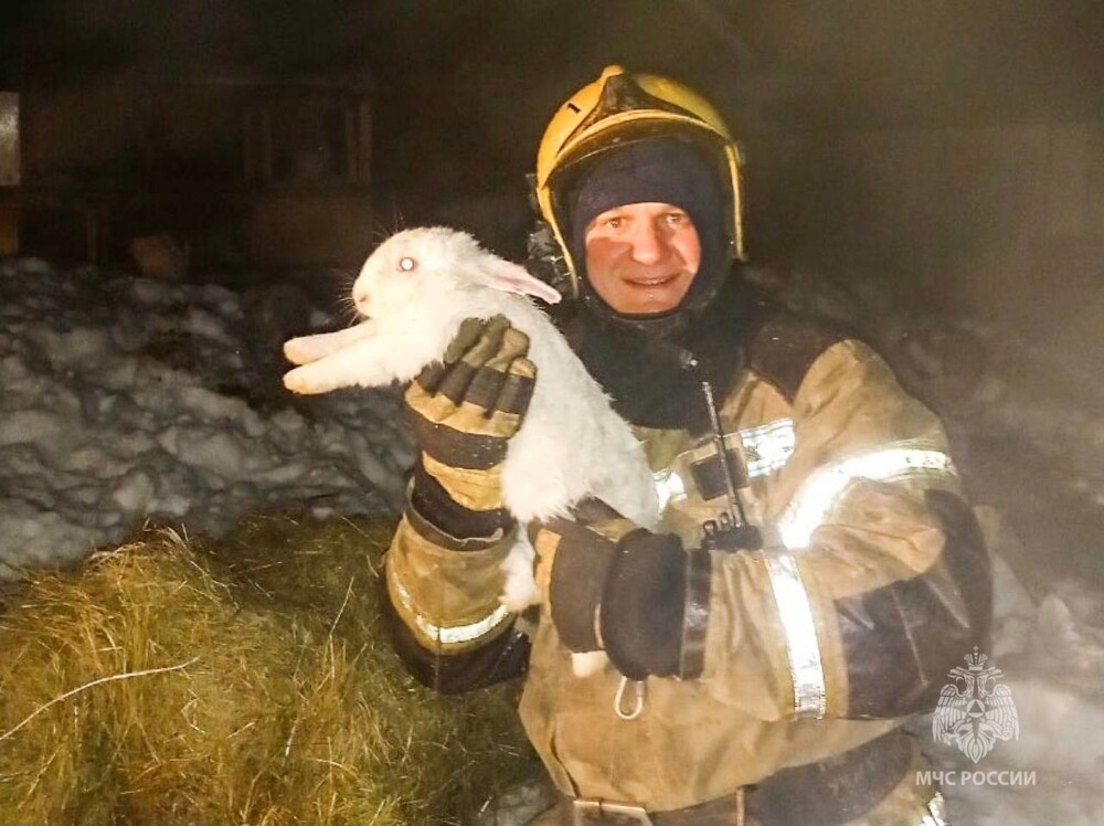 
        Пожарные спасли восемь кроликов, оказавшихся в огненной ловушке    