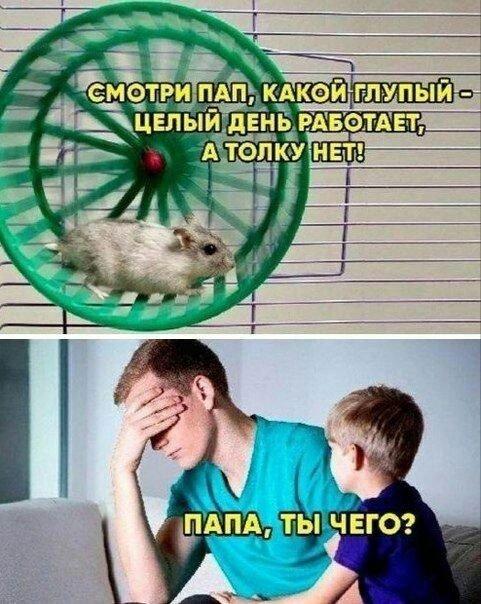 Шутки и мемы про инвесторов