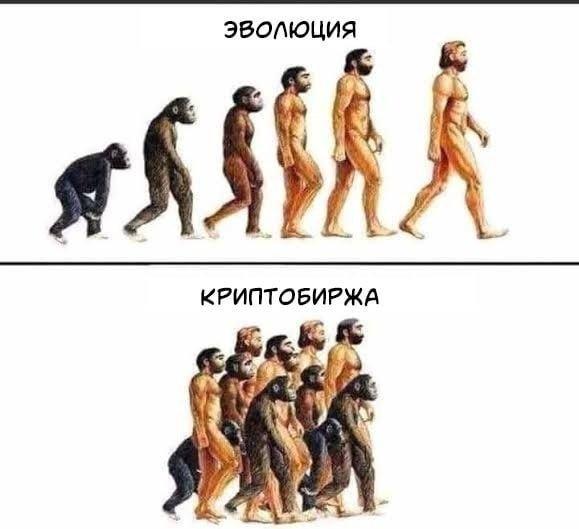 Шутки и мемы про инвесторов