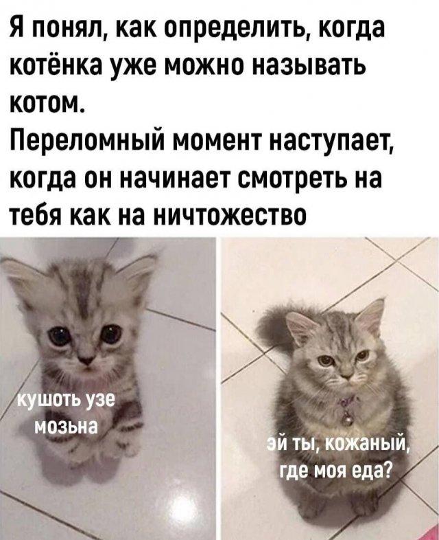 Мемы и картинки