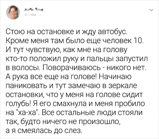 Подборка забавных твитов о неловких ситуациях