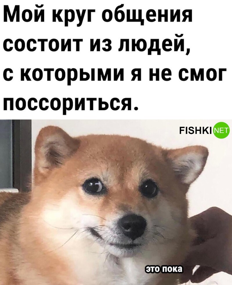 
        Мемы из соцсетей. Свежак за 14 апреля    