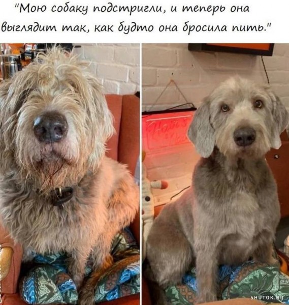 Мем №1453167