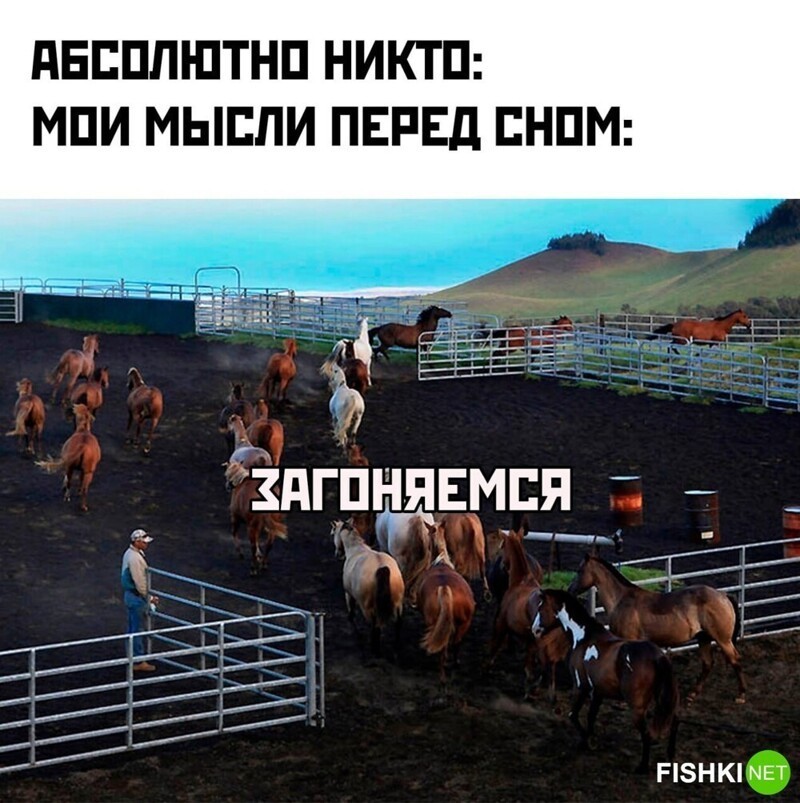 
        Мемы из соцсетей. Свежак за 5 мая    