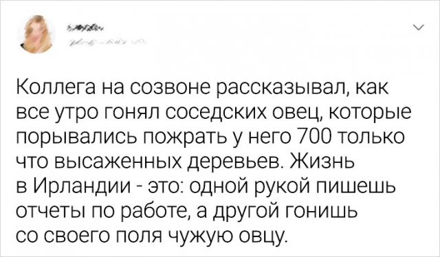 Подборка забавных твитов о работе