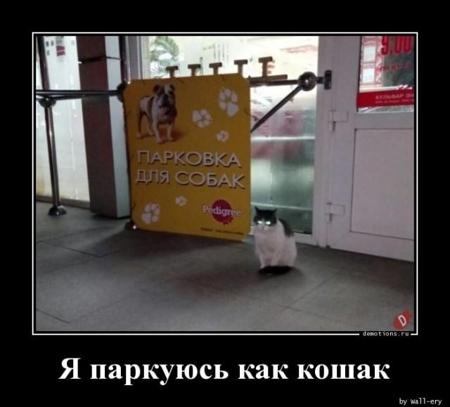 
			Демотиваторы №3383 (15 фото)