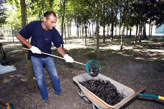 
        Мышь-полёвка: не имеет никакого отношения к мышам. Кто же это тогда?    