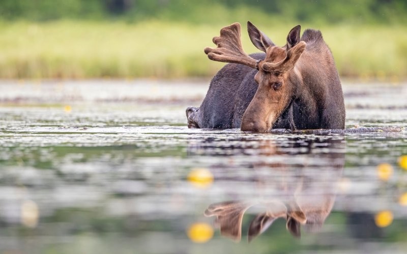 
        Мир по ту сторону воды    