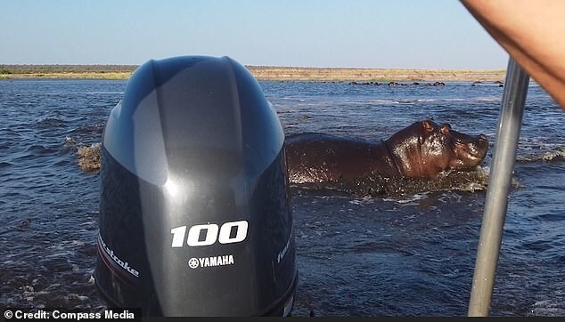 
        В Намибии бегемот напал на лодку с туристами    