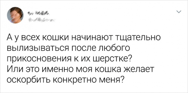 Подборка твитов от людей, которых любой фейл - это повод для смеха