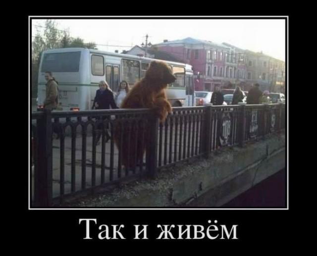
			Демотиваторы №3383 (15 фото)